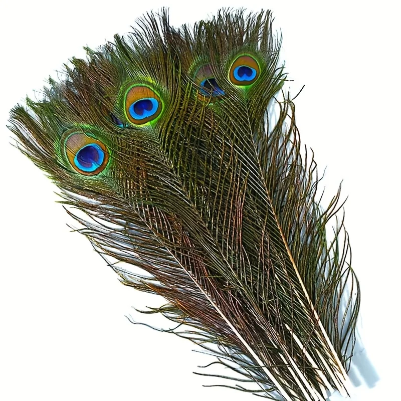 10Pcs Vibrant Peacock Feathers Bulk 16-18 Inch 40-45CM for DIY Crafts Wedding Halloween Decorations Striking Blue Green Color
10Pcs Vibrant Peacock Feathers Bulk 16-18 Inch 40-45CM for DIY Crafts Wedding Halloween Decorations Striking Blue Green Color