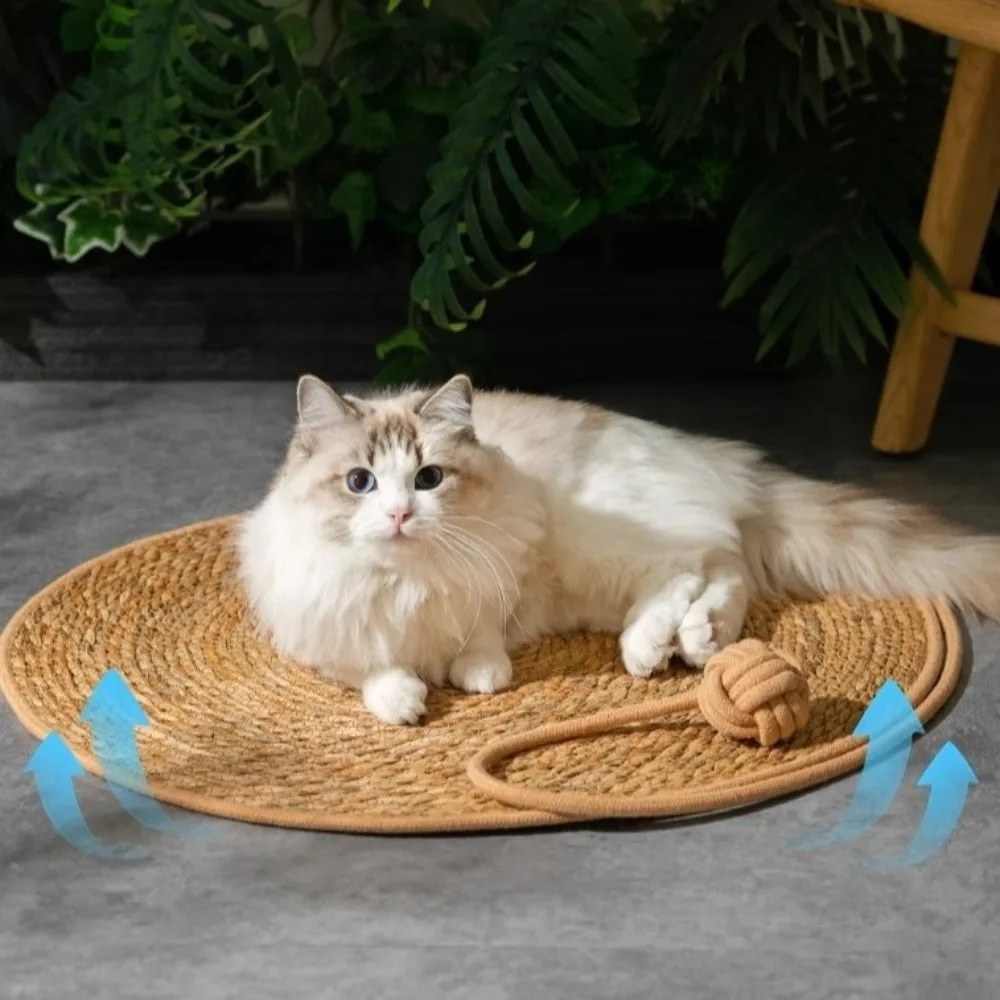 Cat Cooling Mat 40/50/60cm Cat Scratch Board Pad Weaving Round Cat Scratching Post with Ball Cat Scratch Pad Summer Home Indoor
Cat Cooling Mat 40/50/60cm Cat Scratch Board Pad Weaving Round Cat Scratching Post with Ball Cat Scratch Pad Summer Home Indoor