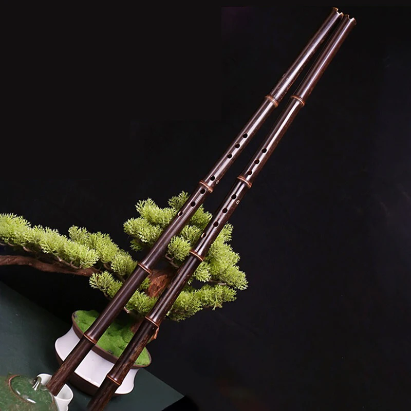 8 Holes Purple Bamboo Flute F/G Key Professional Xiao Traditional Vertical Blowing Flute Chinese Ethnic Instrument for Beginners
8 Holes Purple Bamboo Flute F/G Key Professional Xiao Traditional Vertical Blowing Flute Chinese Ethnic Instrument for Beginners