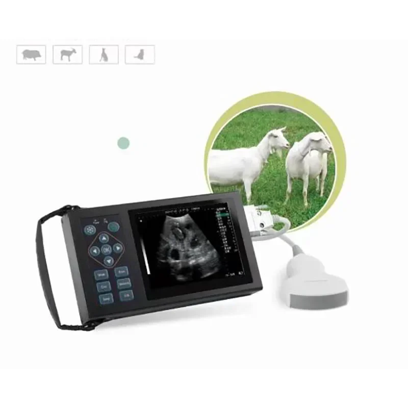 Portable Veterinary Ultrasound Machine Mechanical Fan Scan Ultrasound Diagnostic Instrument, High Configuration Version ne
Portable Veterinary Ultrasound Machine Mechanical Fan Scan Ultrasound Diagnostic Instrument, High Configuration Version ne