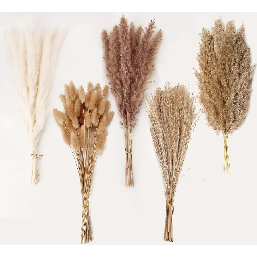 Natural Dried Pampas Grass Decor 110 PCS Pampas Grass Contains White Bunny Tails Dried Flowers Artificial Flowers for Bathroom
Natural Dried Pampas Grass Decor 110 PCS Pampas Grass Contains White Bunny Tails Dried Flowers Artificial Flowers for Bathroom