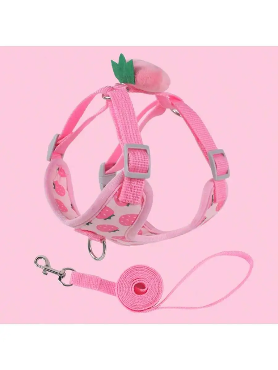1pc Fruit Pattern Small Pet Harness Breathable Dog Leash Vests Style Walking Rope Handsfree dog leash Dog clouthes Dogs leash
1pc Fruit Pattern Small Pet Harness Breathable Dog Leash Vests Style Walking Rope Handsfree dog leash Dog clouthes Dogs leash