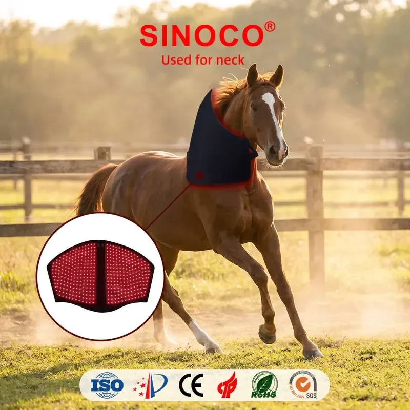 Red Light Equine Neck Therapy Veterinary Instrument Horse Therapy Blanket Horse Racing Equestrian Rug HealthCare
Red Light Equine Neck Therapy Veterinary Instrument Horse Therapy Blanket Horse Racing Equestrian Rug HealthCare