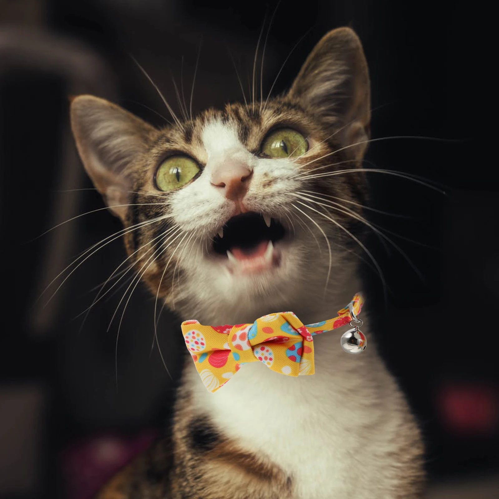 Collar Unique Pattern Bright Color Stylish Decorative Supplies Puppy Kitten Adjustable Bow Tie Neckband Bell Bowknot Comfortable
Collar Unique Pattern Bright Color Stylish Decorative Supplies Puppy Kitten Adjustable Bow Tie Neckband Bell Bowknot Comfortable