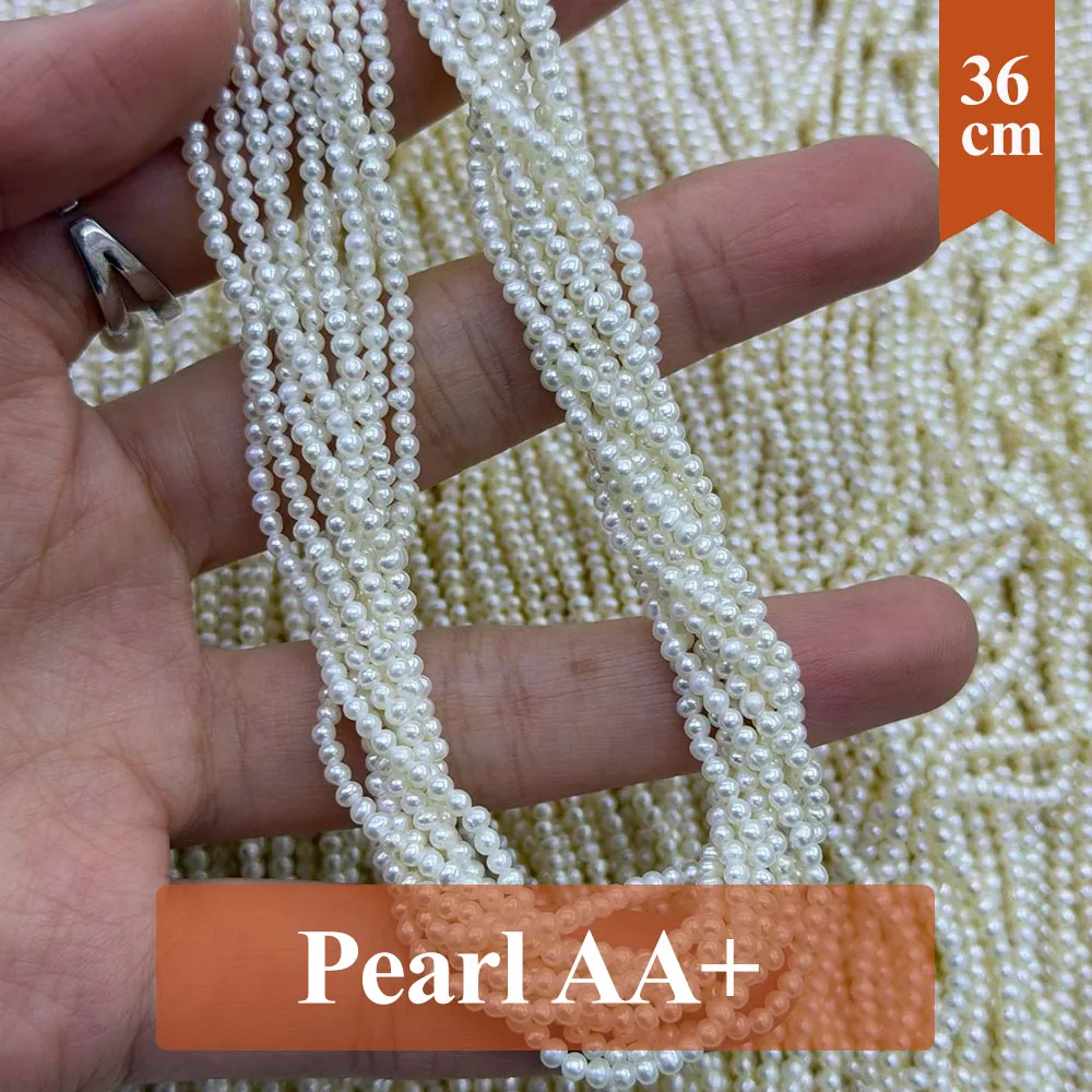 2-2.5mm Punch Natural Freshwater Pearl Bead Round Pearl Loose Spacer Beaded for Making DIY Jewelry Necklace Bracelet Accessories
2-2.5mm Punch Natural Freshwater Pearl Bead Round Pearl Loose Spacer Beaded for Making DIY Jewelry Necklace Bracelet Accessories