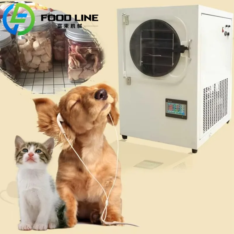 Industrial Oven Meat Beef Jerky Dehydrator Commercial Food Drying Machine for Fruit Vegetable Freeze Dryer
Industrial Oven Meat Beef Jerky Dehydrator Commercial Food Drying Machine for Fruit Vegetable Freeze Dryer