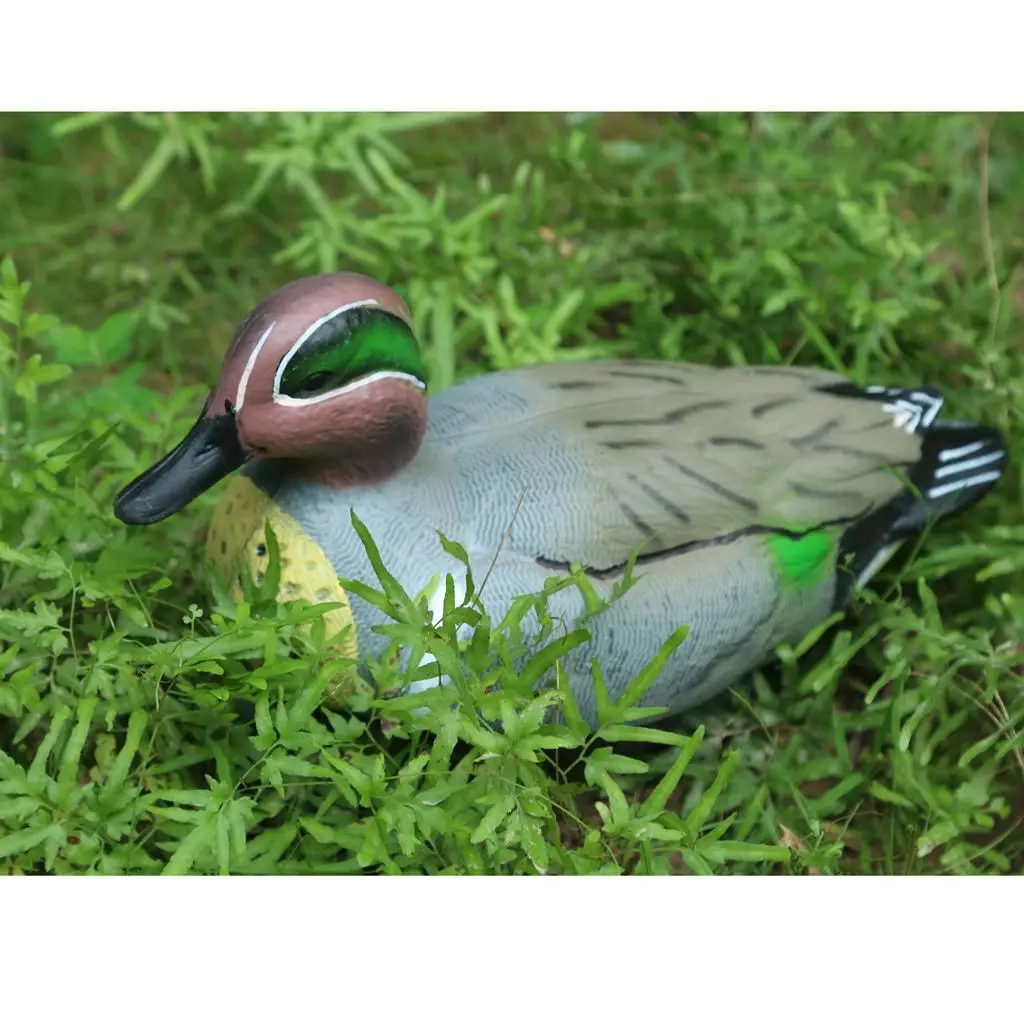 Mallard Duck Decoy PE Plastic Floating Pond Decoration Lifelike Scarecrow Garden Repeller for Outdoor Fish Pond
Mallard Duck Decoy PE Plastic Floating Pond Decoration Lifelike Scarecrow Garden Repeller for Outdoor Fish Pond