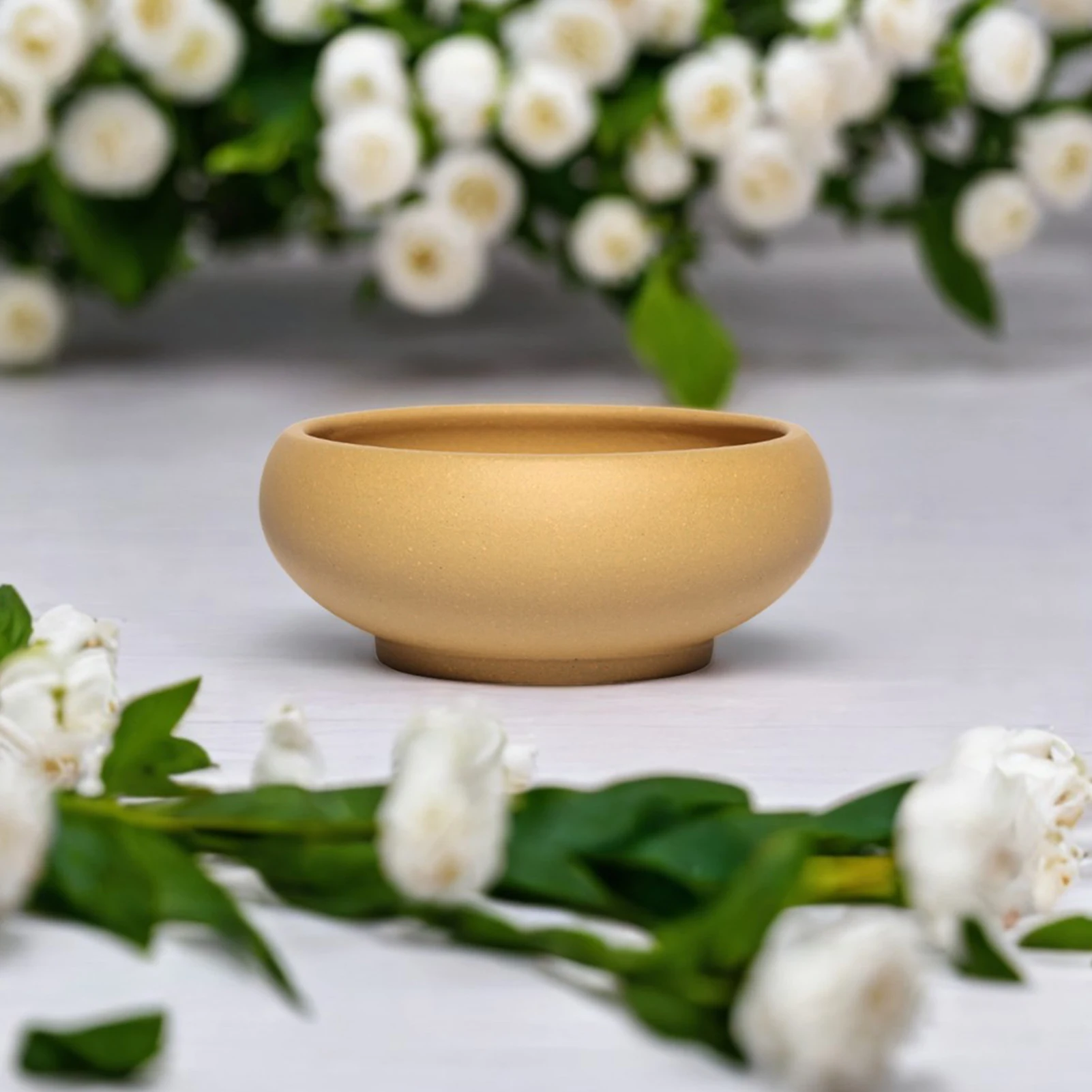 Red Stoneware Succulent Flower Pot Elegant Promote Healthy Growth Planter for Windowsills Shelves Gardens and Patios
Red Stoneware Succulent Flower Pot Elegant Promote Healthy Growth Planter for Windowsills Shelves Gardens and Patios