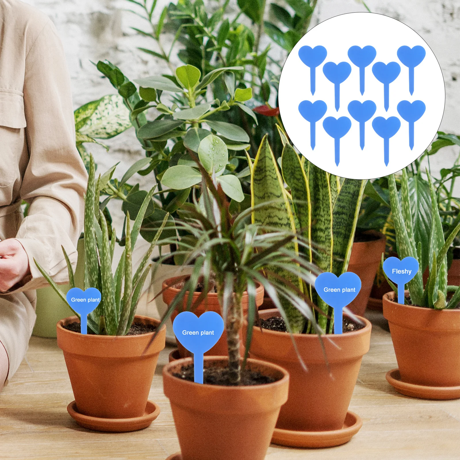 100pcs Reusable Plant Labels Durable Writeable Double-Sided For Vegetables Flowers Fruit Trees Seedlings Potted Plants Garden
100pcs Reusable Plant Labels Durable Writeable Double-Sided For Vegetables Flowers Fruit Trees Seedlings Potted Plants Garden