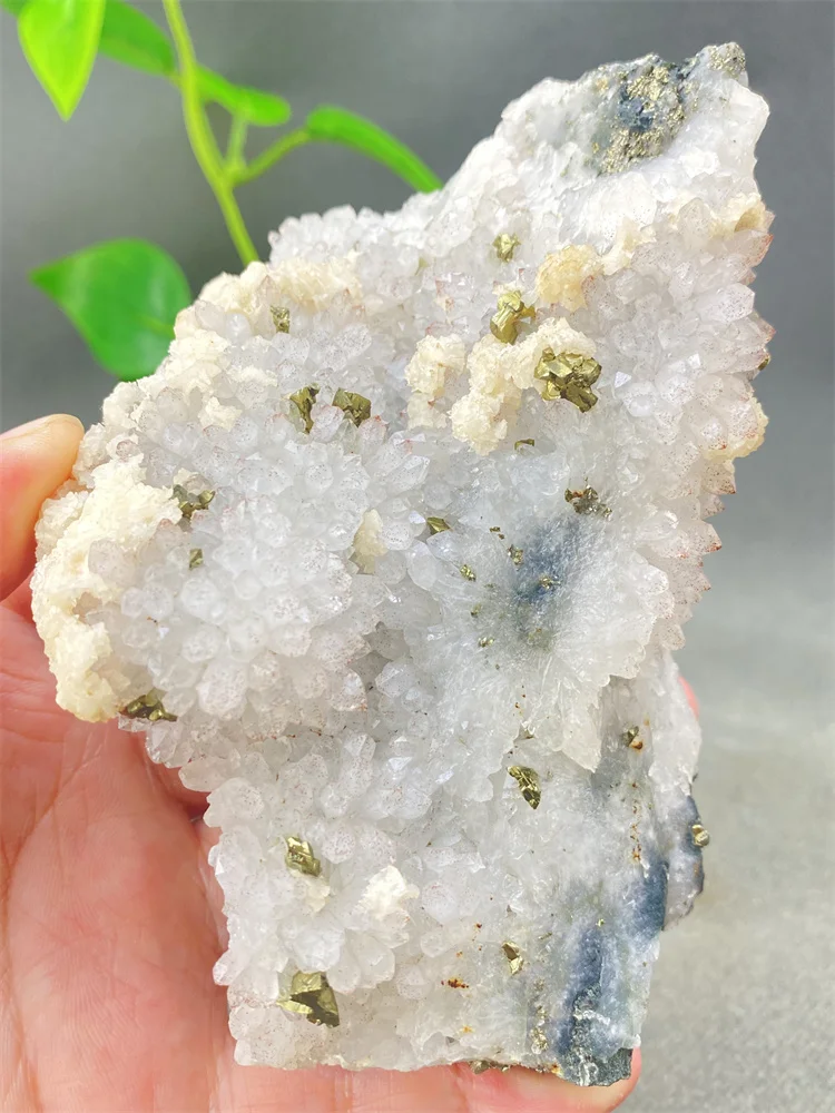 Натуральный необработанный камень Пирит Белый кристалл Халькопирит Прозрачный кварцевый кластер Минеральный образец - Домашний декор Подарок Исцеляющий кристалл
Натуральный необработанный камень Пирит Белый кристалл Халькопирит Прозрачный кварцевый кластер Минеральный образец - Домашний декор Подарок Исцеляющий кристалл