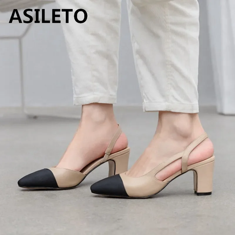 Big Size 45 Women Slingbacks Shoes High Heels Thick High Heel Leather Mixed Colors Pumps Ladies
Big Size 45 Women Slingbacks Shoes High Heels Thick High Heel Leather Mixed Colors Pumps Ladies