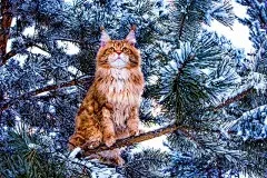 [DO NOT ORDER - Updating Price】
[DO NOT ORDER - Updating Price】