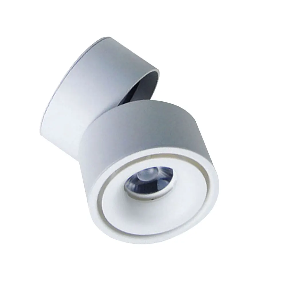 LED Spotlight Downlight Ceiling Mounted Lamp Adjustable Spot Head Rotate Tilt Light White Small Indoor Track Lighting Ceiling
LED Spotlight Downlight Ceiling Mounted Lamp Adjustable Spot Head Rotate Tilt Light White Small Indoor Track Lighting Ceiling