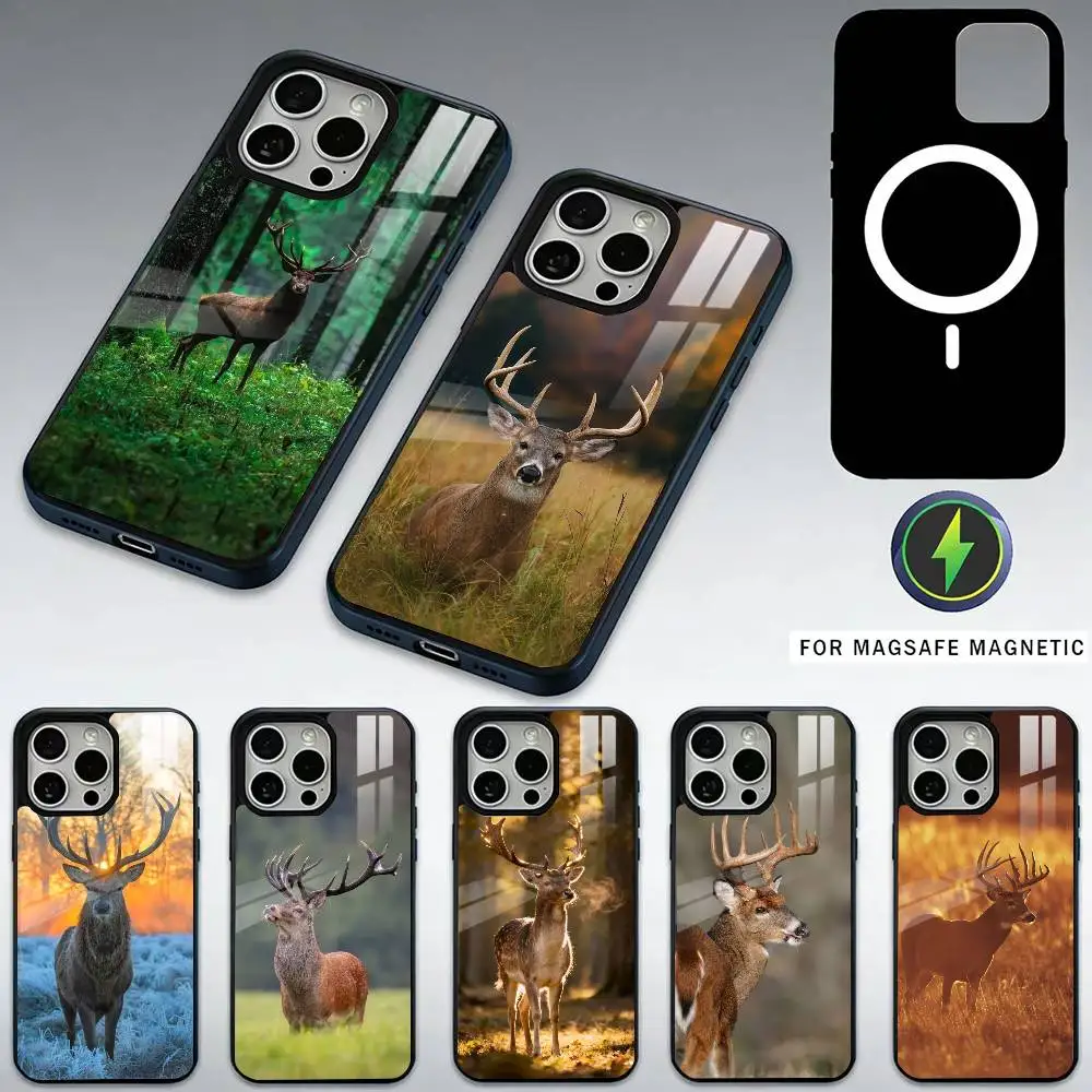 Deer Hunting Phone Case For iPhone17,16,15,14,13,12,11 Plus,Pro Max Magnetic For Magsafe Wireless Charging
Deer Hunting Phone Case For iPhone17,16,15,14,13,12,11 Plus,Pro Max Magnetic For Magsafe Wireless Charging