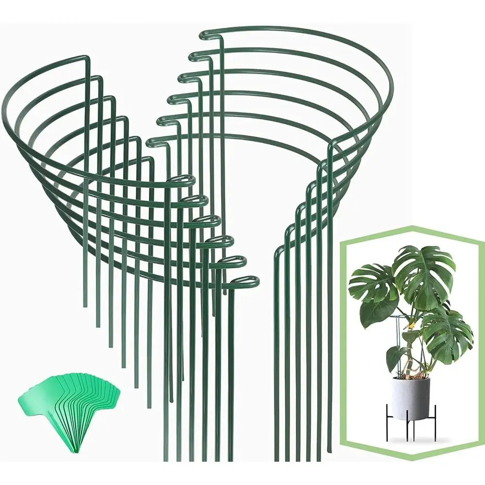 12 Pack Plant Support Stakes, 16 Inch, Peony Cages and Supports, Peony Cage with 15 Pcs Ties, Lower Stakes Peonies Support Cages
12 Pack Plant Support Stakes, 16 Inch, Peony Cages and Supports, Peony Cage with 15 Pcs Ties, Lower Stakes Peonies Support Cages
