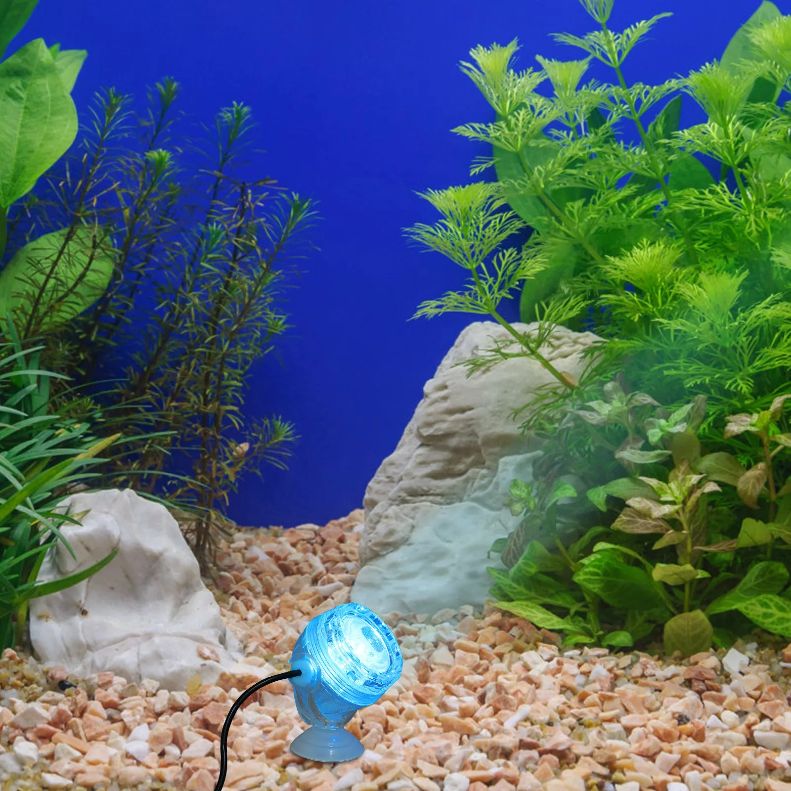 Fish Tank Spotlight Aquarium Light Color Changing LED Night Decor Small Fish Bowl Light Energy Efficient Lighting Seven Colors
Fish Tank Spotlight Aquarium Light Color Changing LED Night Decor Small Fish Bowl Light Energy Efficient Lighting Seven Colors