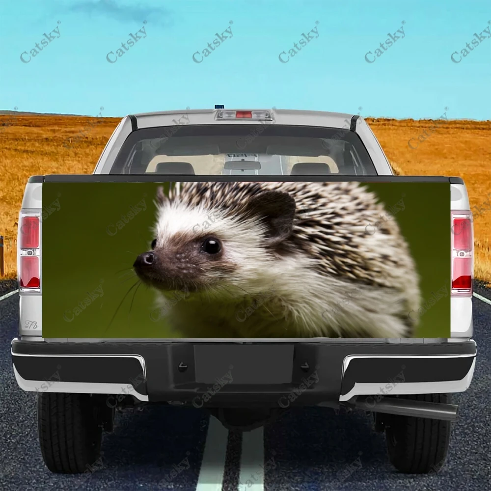 hedgehog animal Car stickers truck rear tail modification painting suitable for truck pain packaging accessories decals
hedgehog animal Car stickers truck rear tail modification painting suitable for truck pain packaging accessories decals