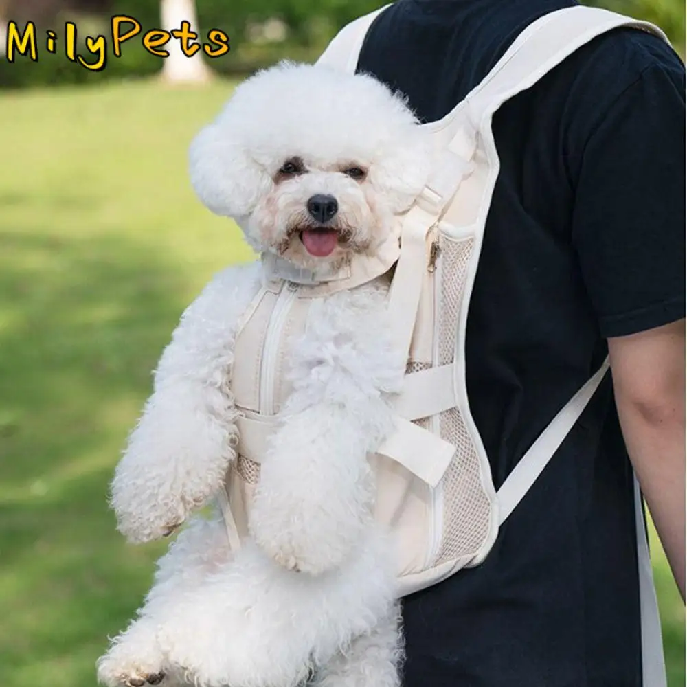 Creative Pet Front Dog Bag Nylon Fabric Breathable Mesh Dog Front Carrier Hands-free Durable Cat Carrying Bag Travel
Creative Pet Front Dog Bag Nylon Fabric Breathable Mesh Dog Front Carrier Hands-free Durable Cat Carrying Bag Travel