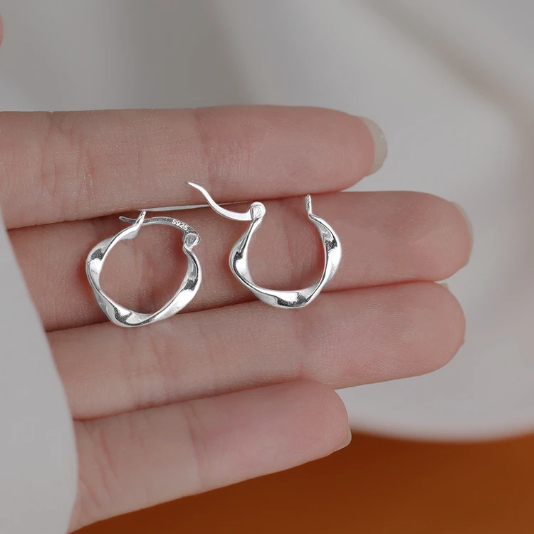 925 Sterling Silver Simple Hoop Earrings for Women European Unisex Piercing Rock Jewelry Ear Buckles
925 Sterling Silver Simple Hoop Earrings for Women European Unisex Piercing Rock Jewelry Ear Buckles
