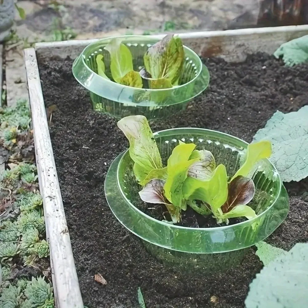 10PCS Plastic Vegetable Slug Collars Thickened Round Plant Protection Covers No Light Blocking Bite Protection Barrier
10PCS Plastic Vegetable Slug Collars Thickened Round Plant Protection Covers No Light Blocking Bite Protection Barrier