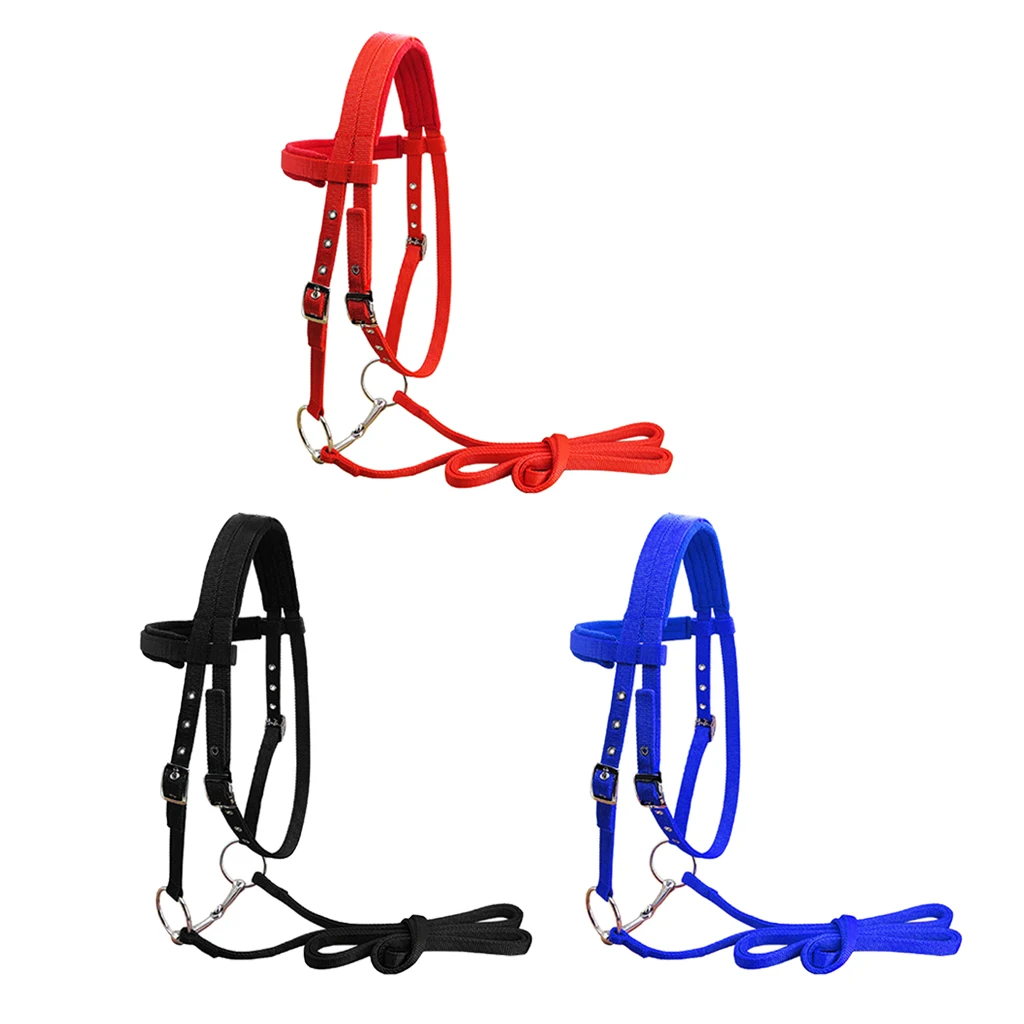 Horse Bridle Horse Rein Headstall Thickened Halter Equestrian Accessories Removable Snaffle Nylon Webbing Horse Riding Equipment
Horse Bridle Horse Rein Headstall Thickened Halter Equestrian Accessories Removable Snaffle Nylon Webbing Horse Riding Equipment