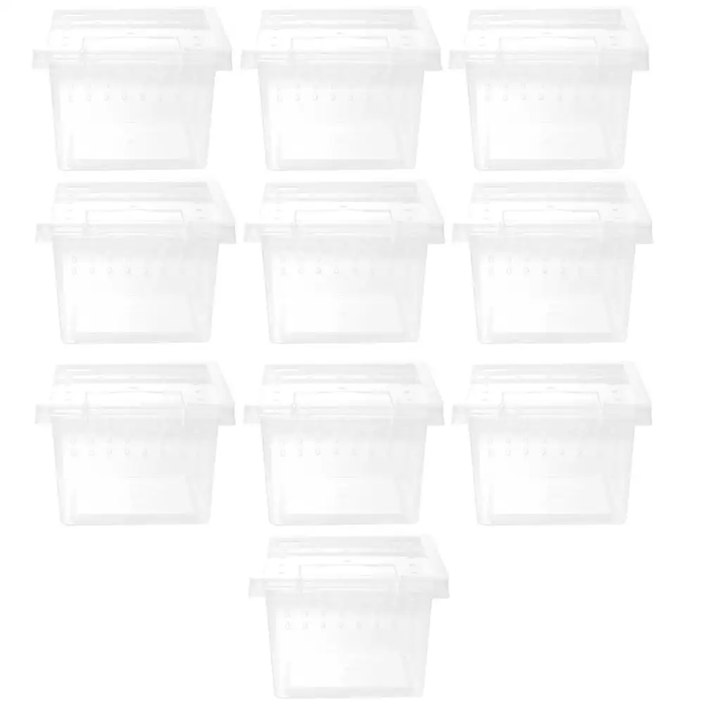 Reptile Feeding Box Cases Transparent Habitat Terrarium Snail Terrariums Clear Boxes For Pet Spiders
Reptile Feeding Box Cases Transparent Habitat Terrarium Snail Terrariums Clear Boxes For Pet Spiders