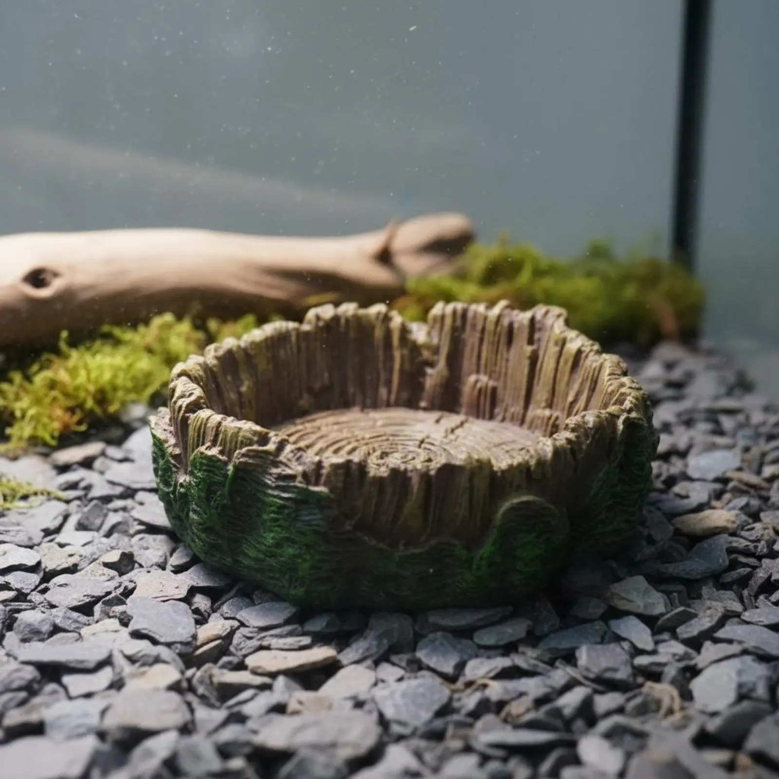 Turtle Feeding Plate Decorative Tree Log Water Bowl Wood Piece Food Dish Sturdy Terrarium Accessory Gnaw-Resistant
Turtle Feeding Plate Decorative Tree Log Water Bowl Wood Piece Food Dish Sturdy Terrarium Accessory Gnaw-Resistant