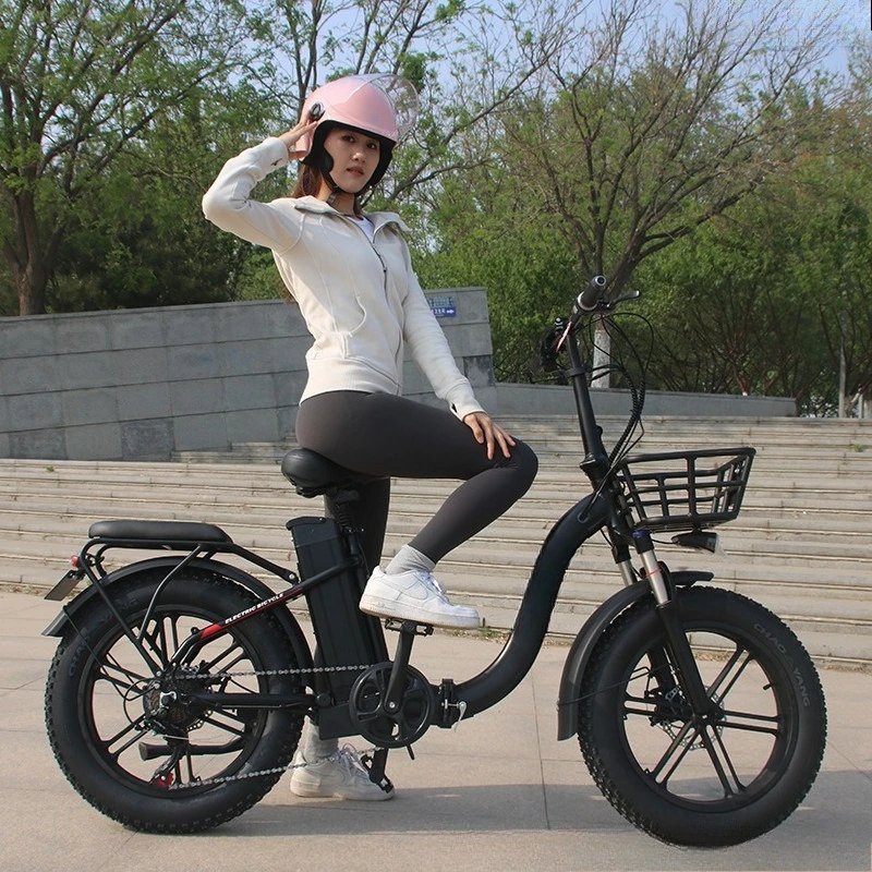 20 inch folding men's/women's retro mountain electric bike
20 inch folding men's/women's retro mountain electric bike