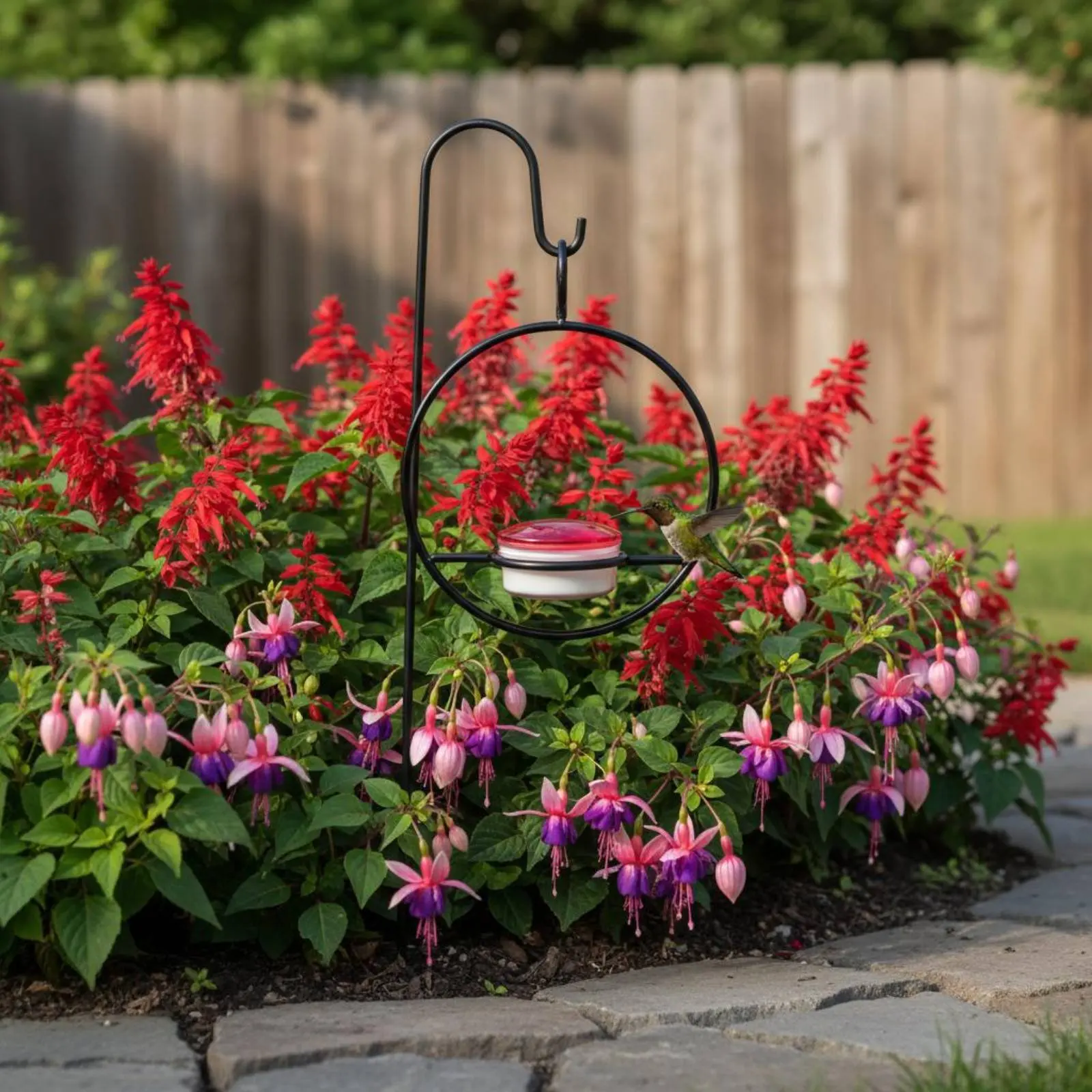 3 Pieces Hanging Small Songbird Feeder Attracts Hummingbirds Small Songbird Nectar Station Small Avian Waterer Built-in Perch
3 Pieces Hanging Small Songbird Feeder Attracts Hummingbirds Small Songbird Nectar Station Small Avian Waterer Built-in Perch