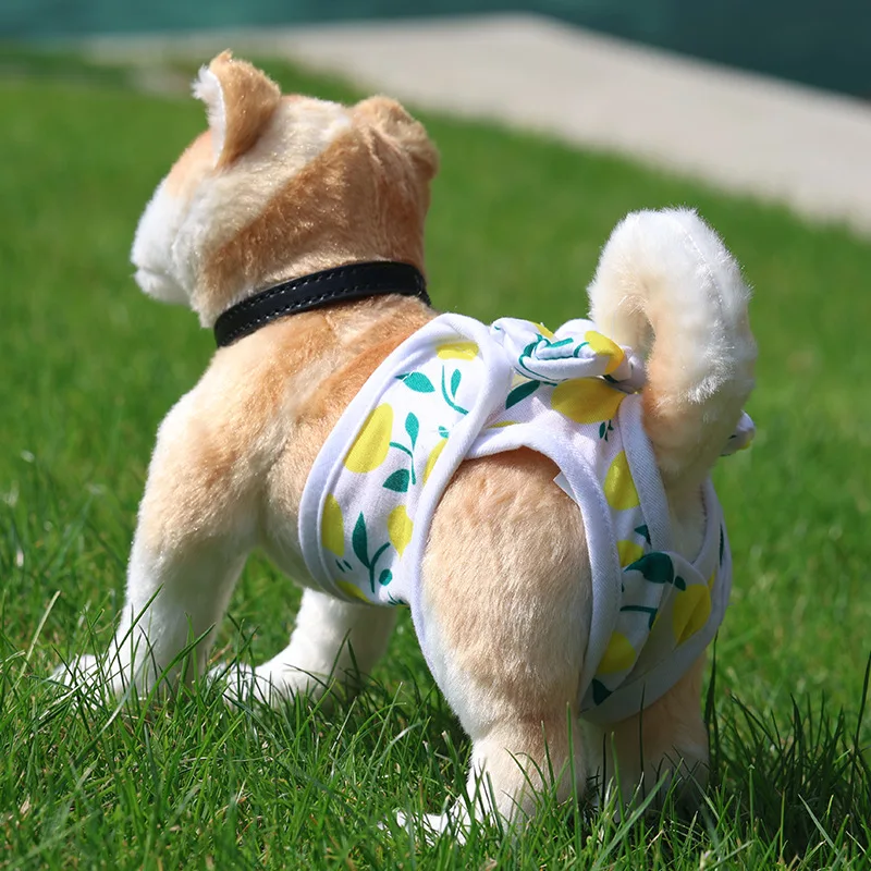 Washable Pet Dog Cat Diapers - S-XL Female Puppy Physiological Panties Safety Sanitary Underwear Trousers for Teddy Small Pets
Washable Pet Dog Cat Diapers - S-XL Female Puppy Physiological Panties Safety Sanitary Underwear Trousers for Teddy Small Pets
