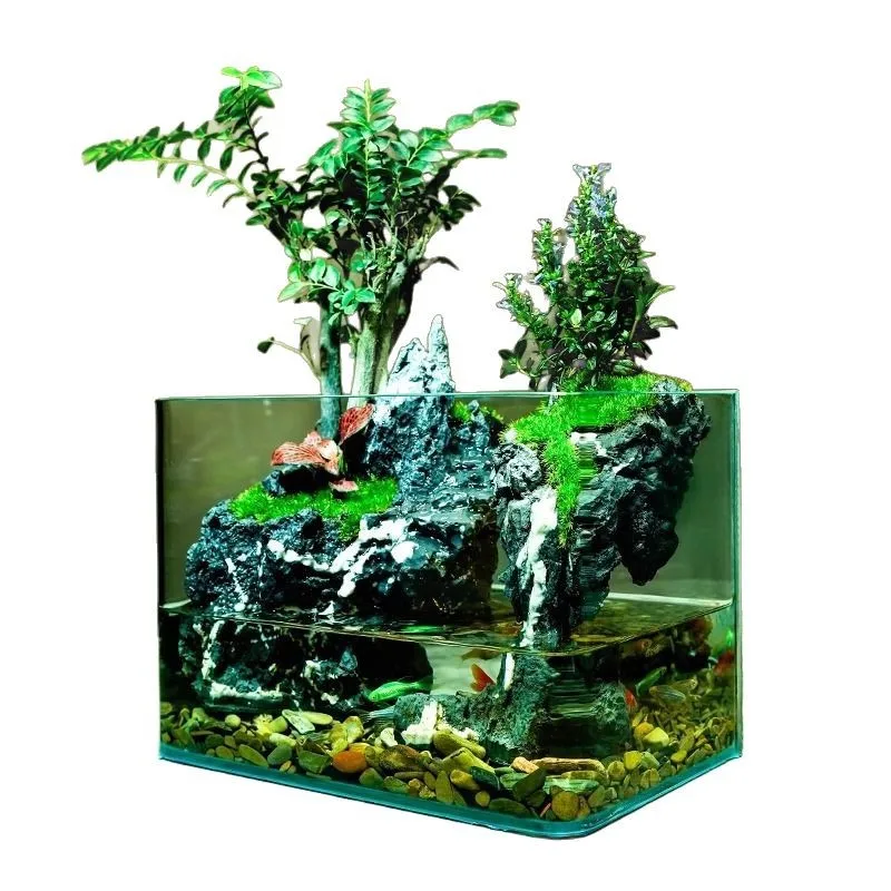 Red sandalwood micro-landscape ecological bottle fish tank landscaping office desktop green plant creative ornament gift
Red sandalwood micro-landscape ecological bottle fish tank landscaping office desktop green plant creative ornament gift