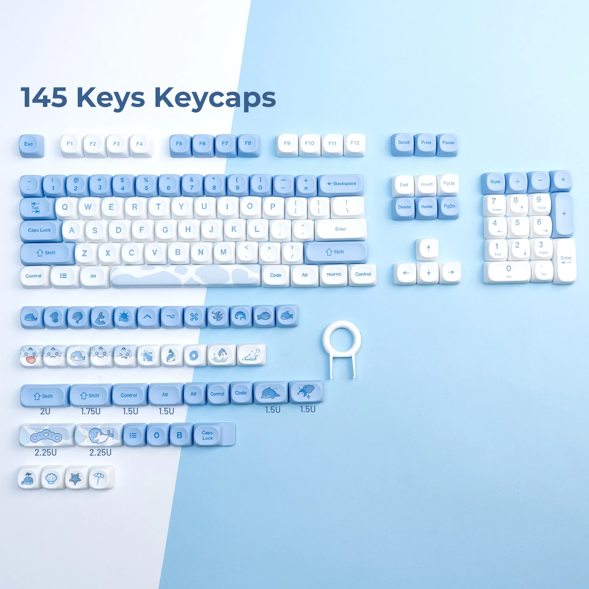 MOA High PBT Sublimation Personality White and Blue Color Matching Personality Keycap 145 Keys AliExpress
MOA High PBT Sublimation Personality White and Blue Color Matching Personality Keycap 145 Keys AliExpress