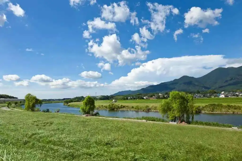 X5 Pro-AI Skin ImageAnalyzerFull-Body Multi-Spectral Scan for Beauty Equipment Scalp Analyzer Multi-Language15.6 Inch 21.5 Inch
X5 Pro-AI Skin ImageAnalyzerFull-Body Multi-Spectral Scan for Beauty Equipment Scalp Analyzer Multi-Language15.6 Inch 21.5 Inch