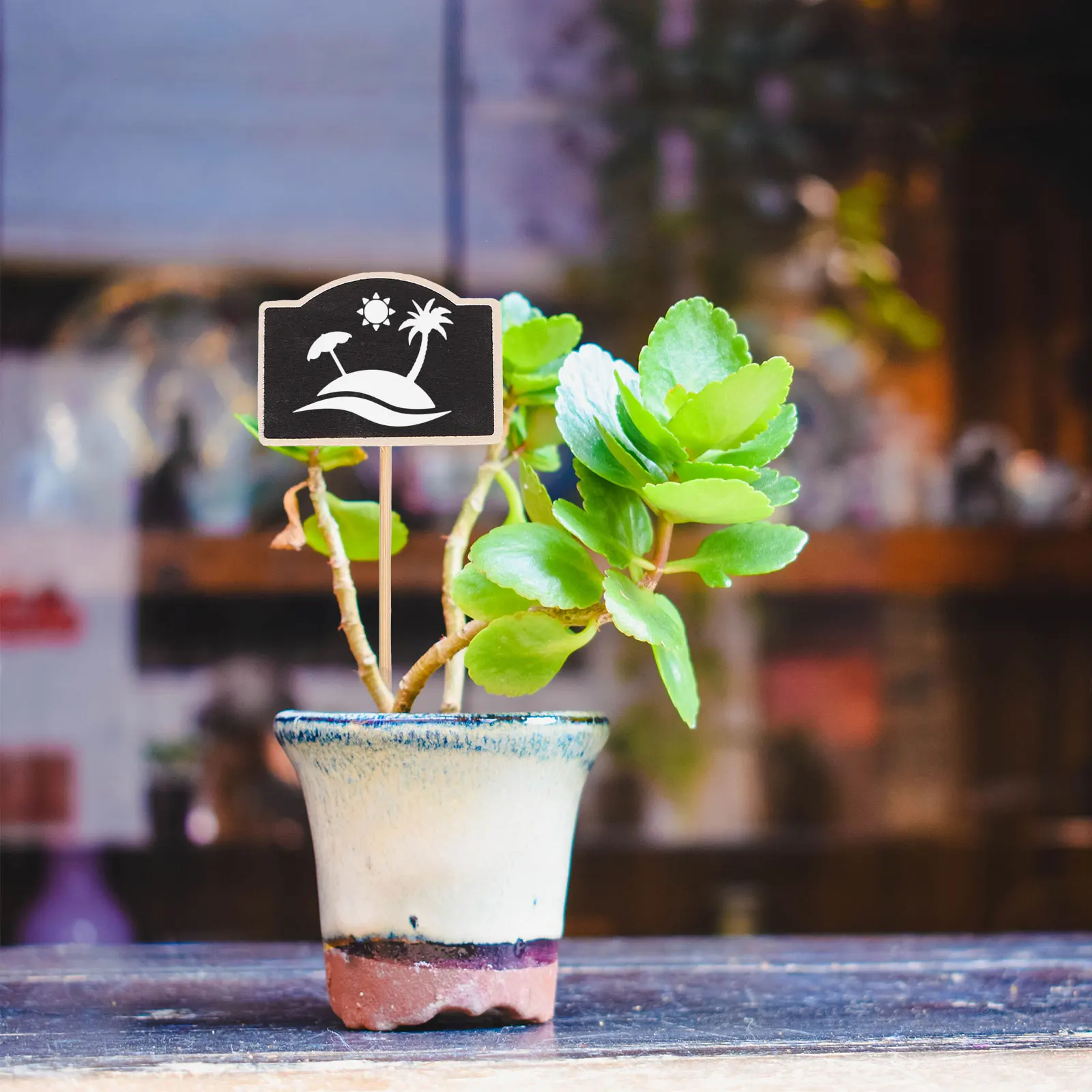 20 Pcs Plug-in Nursery Garden Labels Plants Mini Chalkboards Signs for Food Gardening Table Wooden Tags
20 Pcs Plug-in Nursery Garden Labels Plants Mini Chalkboards Signs for Food Gardening Table Wooden Tags