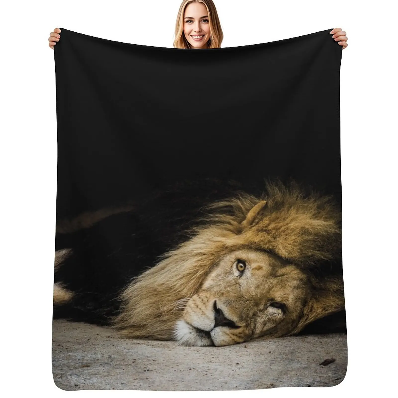 Resting Throw Blanket Elegant Warm Throw Blanket for Hotel Home
Resting Throw Blanket Elegant Warm Throw Blanket for Hotel Home