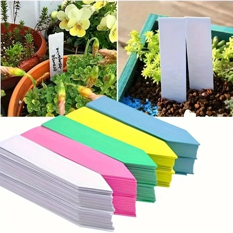100pcs Plastic Plant Labels Reusable Garden Plants Marker Waterproof Plastic Nursery Plaques For Plants Tags Markers
100pcs Plastic Plant Labels Reusable Garden Plants Marker Waterproof Plastic Nursery Plaques For Plants Tags Markers