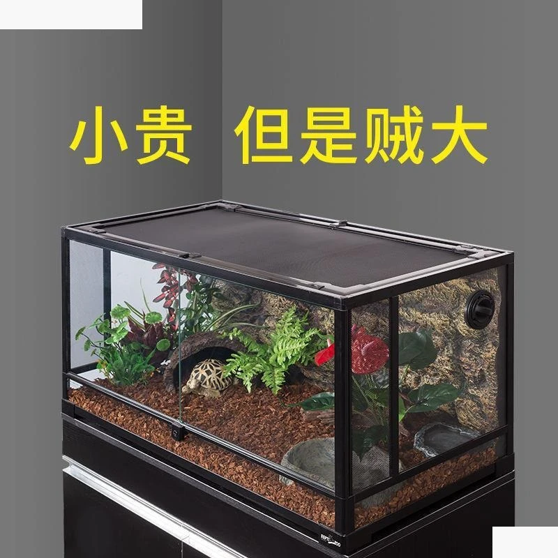 Climbing pet box feeding reptile new school horned frog chameleon land box climbing pet glass turtle box pet tank climbin
Climbing pet box feeding reptile new school horned frog chameleon land box climbing pet glass turtle box pet tank climbin