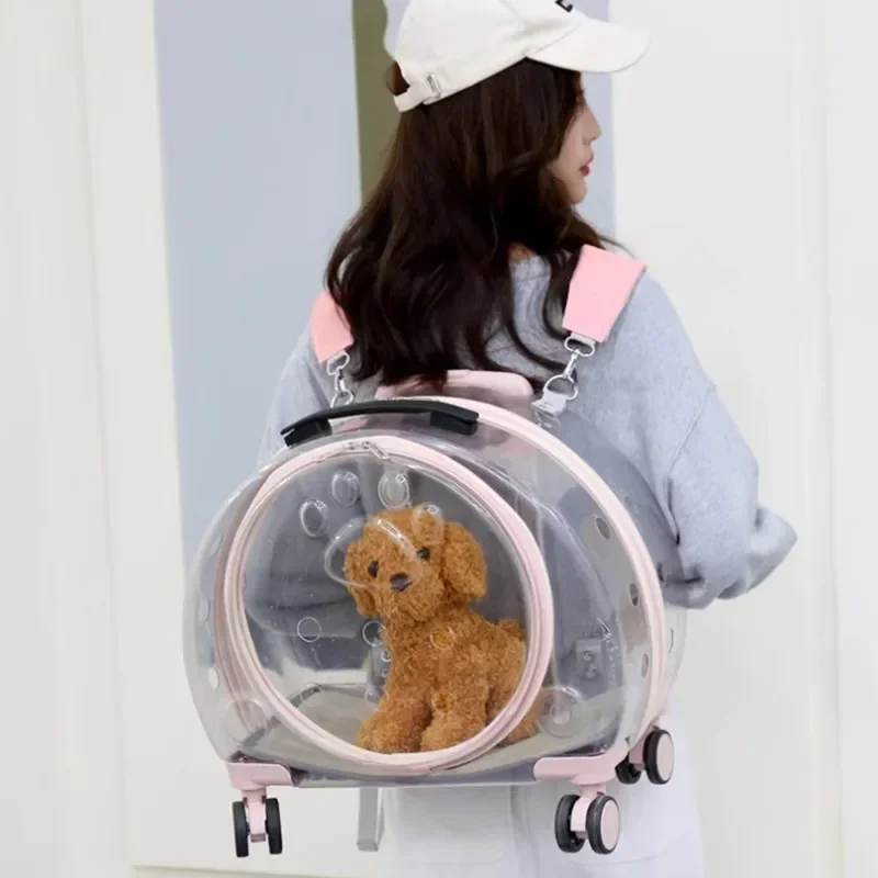 1pc Pet Outing Portable Transparent Trolley Box Backpack Fashion Large Capacity Dog Suitcase Carrying Shoulder Cat Bag
1pc Pet Outing Portable Transparent Trolley Box Backpack Fashion Large Capacity Dog Suitcase Carrying Shoulder Cat Bag