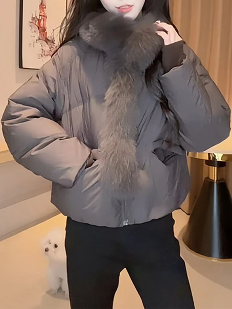 Winter New Sle Women's Thiened Warm ort down Cotton Jaet Bread Sle Coat Large Fur Collar Korean Version Pure Color
Winter New Sle Women's Thiened Warm ort down Cotton Jaet Bread Sle Coat Large Fur Collar Korean Version Pure Color