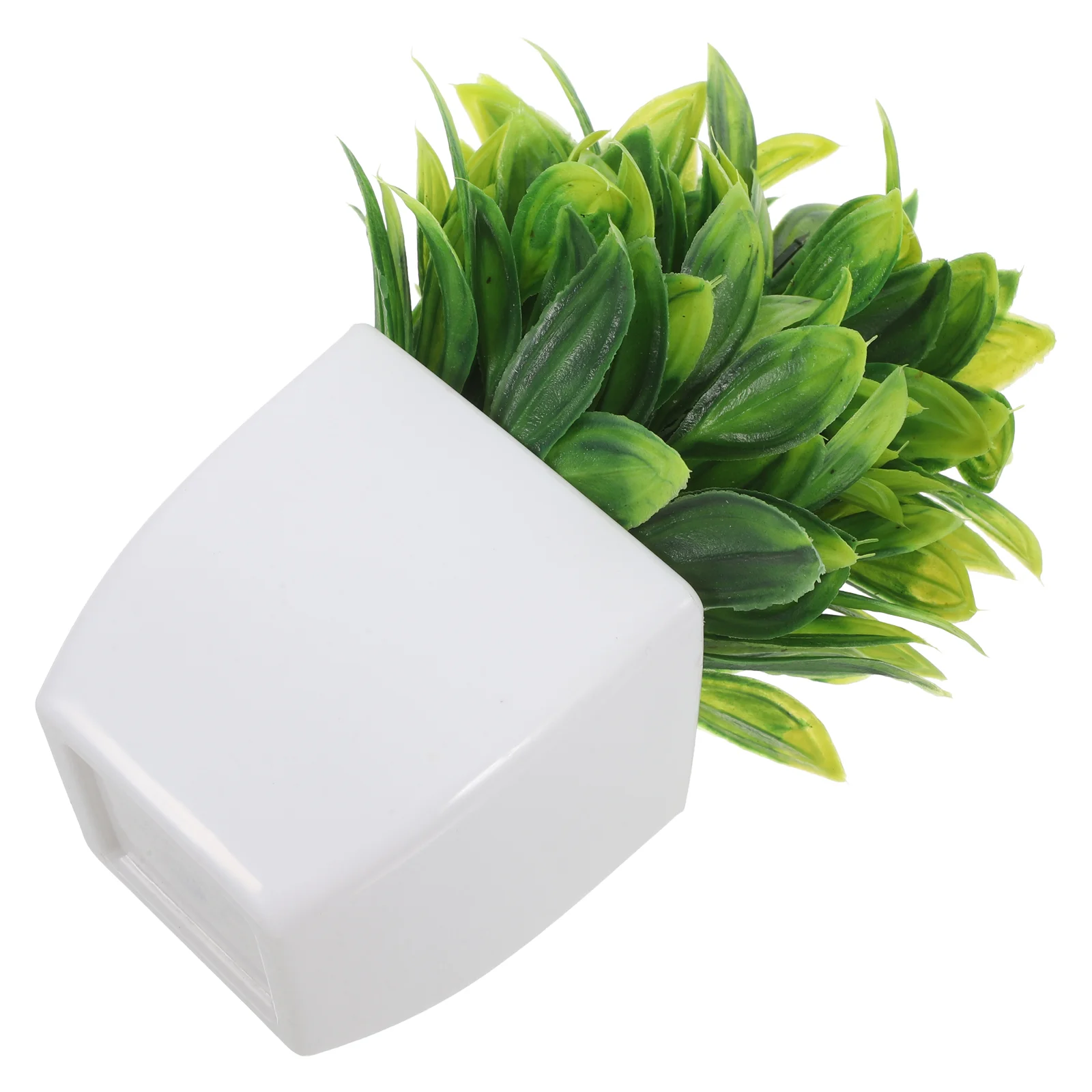 Imitation Plants Artificial Autumn Small Potted Fake Large Table Faux Indoor Pots Pp Desktop Decoration
Imitation Plants Artificial Autumn Small Potted Fake Large Table Faux Indoor Pots Pp Desktop Decoration