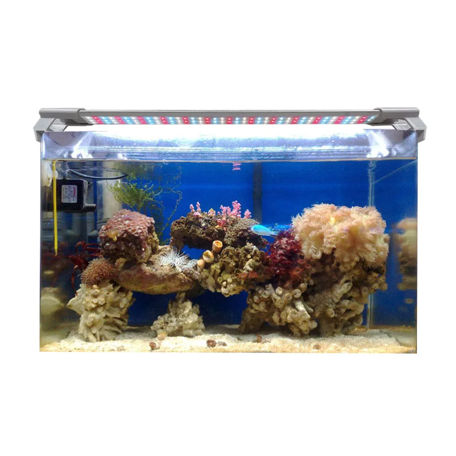 Adjustable Length 10cm to 100cm Customized Color Aquarium Lamp for Different Size Fish Tank Coral LED Aquarium Light
Adjustable Length 10cm to 100cm Customized Color Aquarium Lamp for Different Size Fish Tank Coral LED Aquarium Light