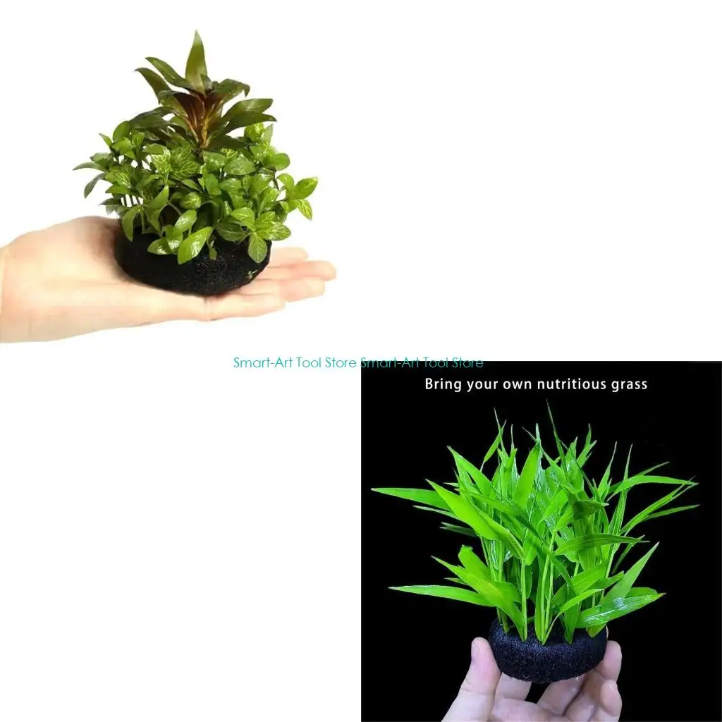 E1PB Nutrient Rich Resin Substrate For Water Plant Growth And Propagation for Home Aquariums And Professional Landscaping
E1PB Nutrient Rich Resin Substrate For Water Plant Growth And Propagation for Home Aquariums And Professional Landscaping