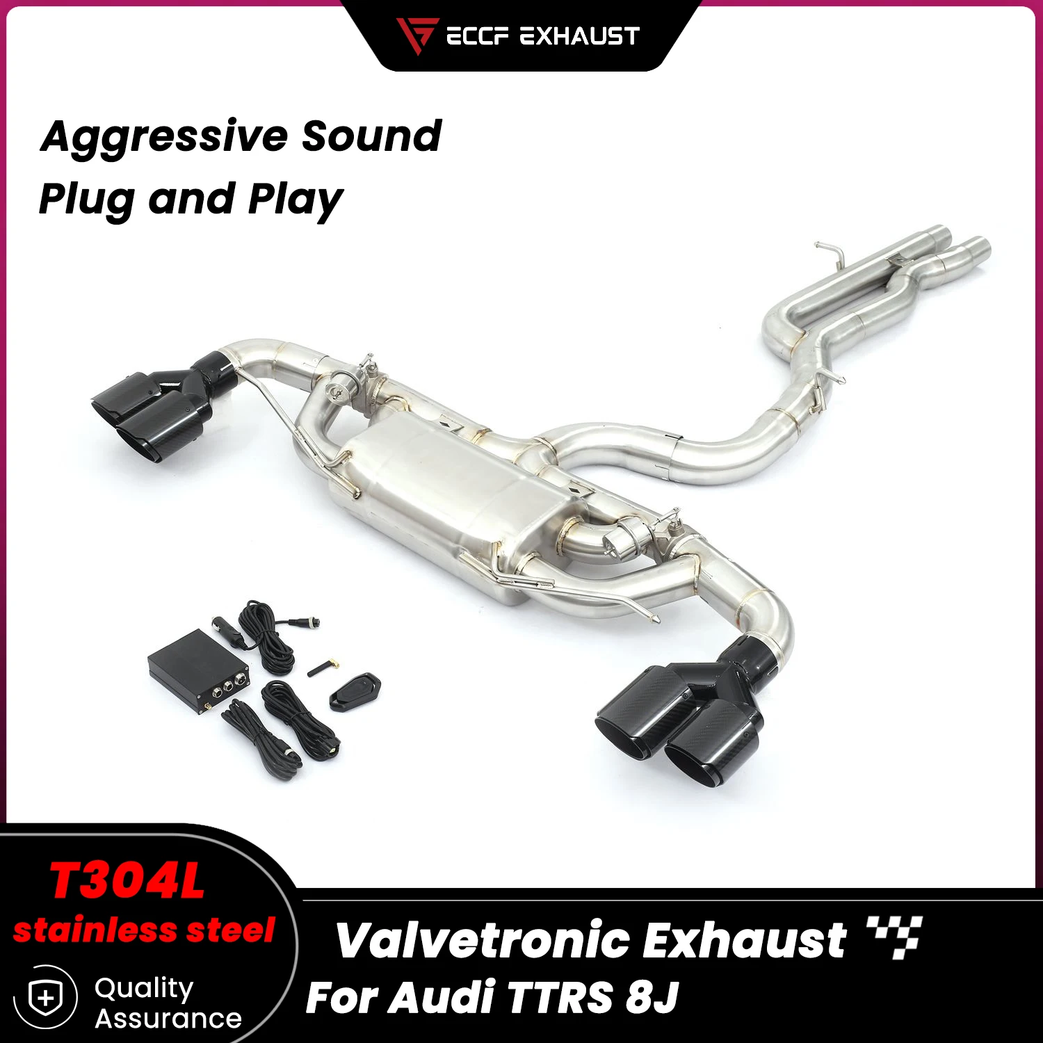 ECCF Stainless Steel Catback Exhaust For Audi TTRS 8J Deep Aggressive Sporty Sound High Flow Performance Tuning
ECCF Stainless Steel Catback Exhaust For Audi TTRS 8J Deep Aggressive Sporty Sound High Flow Performance Tuning