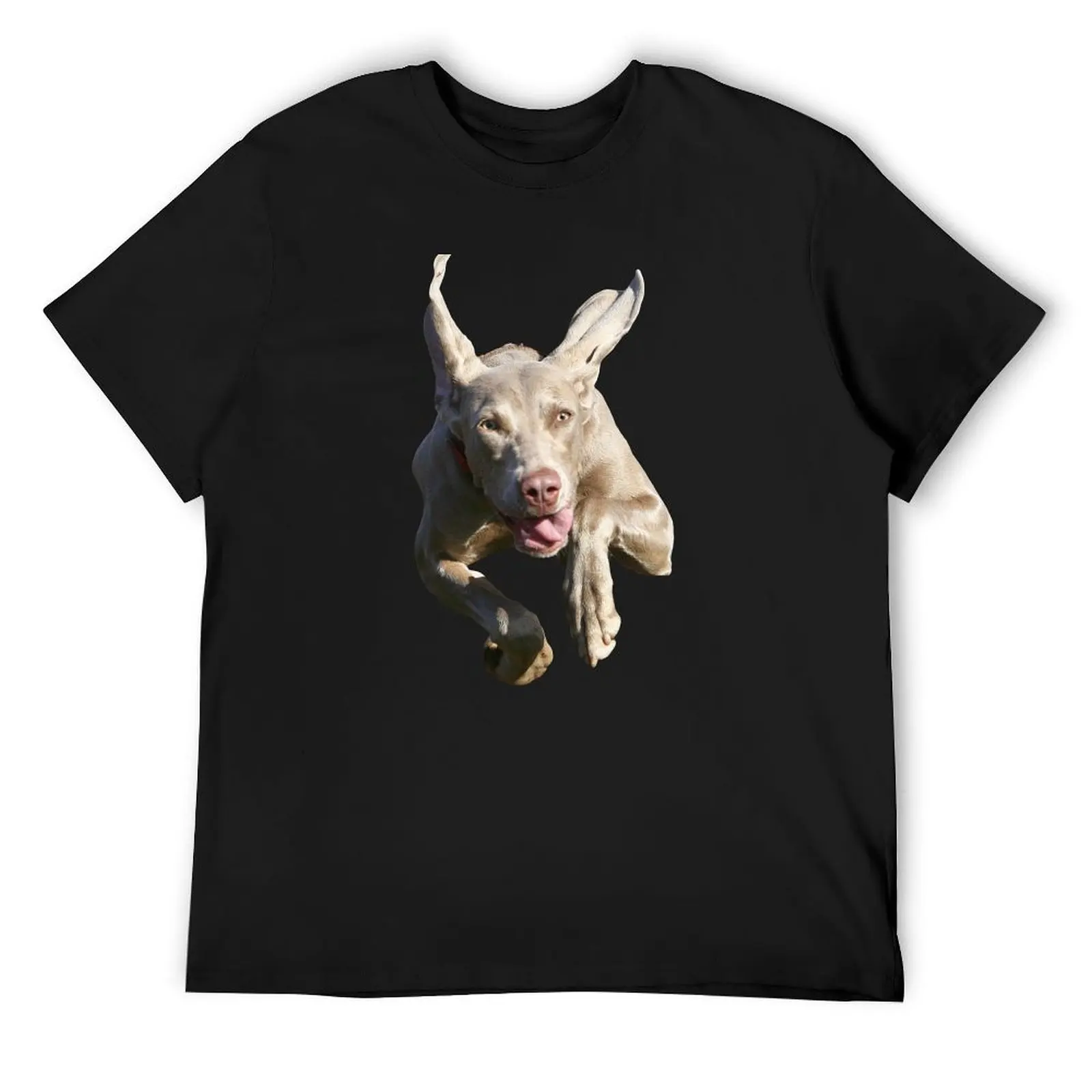 Футболка Weimaraner, винтажные футболки, футболка с рисунком, винтажные топы, забавные футболки с мемми, мужские хлопковые футболки
Футболка Weimaraner, винтажные футболки, футболка с рисунком, винтажные топы, забавные футболки с мемми, мужские хлопковые футболки