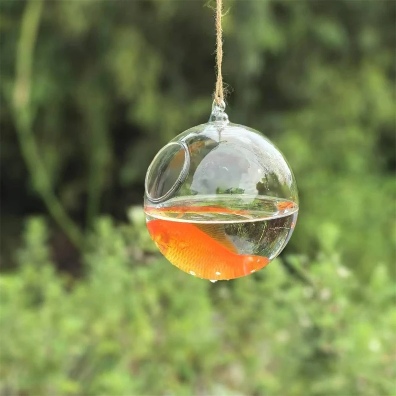 Small Packing Diameter=10cm 12cm 15cm 20cm Transparent Glass Terrarium Fishbowl Home Decoration Creative Aquarium Container Gift
Small Packing Diameter=10cm 12cm 15cm 20cm Transparent Glass Terrarium Fishbowl Home Decoration Creative Aquarium Container Gift