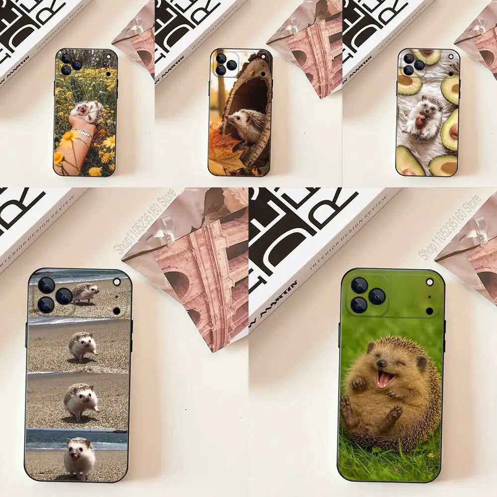 Cute Animal hedgehog Phone Case Silicone Black Soft For iPhone 17,16,15,14,13,12,11,Pro,Max,Plus,E,SE4,Air,Mini
Cute Animal hedgehog Phone Case Silicone Black Soft For iPhone 17,16,15,14,13,12,11,Pro,Max,Plus,E,SE4,Air,Mini