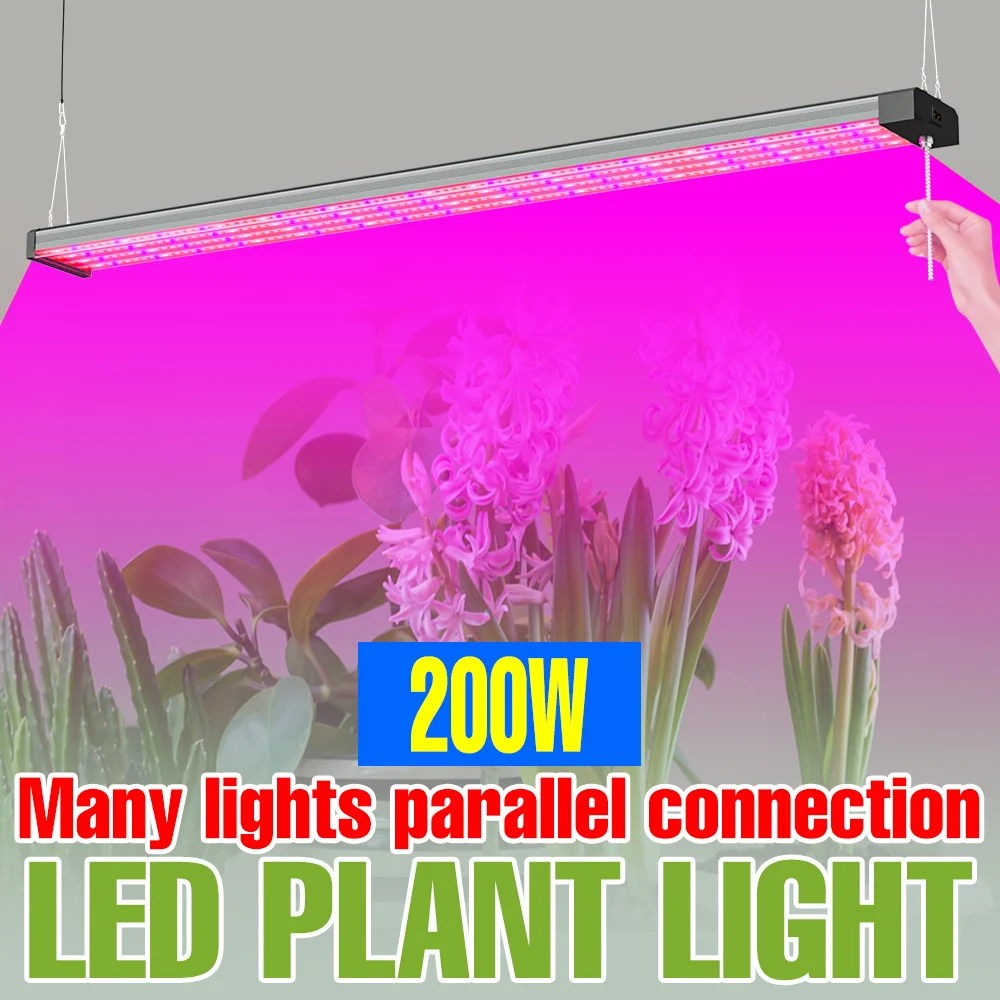 Светодиодная лампа для растений 200 Вт, полный спектр, с УФ/ИК, выдвижной выключатель, для теплиц, гидропоники, выращивания рассады в помещении, дополнительное освещение
Светодиодная лампа для растений 200 Вт, полный спектр, с УФ/ИК, выдвижной выключатель, для теплиц, гидропоники, выращивания рассады в помещении, дополнительное освещение