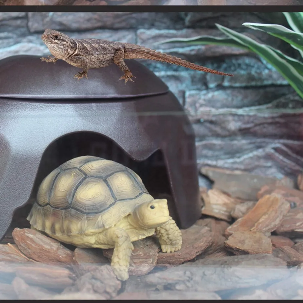 Ползающий питомец, дом для рептилий, ящик для кормления, увлажнение, гнездо для предотвращения пещеры, ландшафтный дизайн, черепаха, увлажнение и охлаждение
Ползающий питомец, дом для рептилий, ящик для кормления, увлажнение, гнездо для предотвращения пещеры, ландшафтный дизайн, черепаха, увлажнение и охлаждение