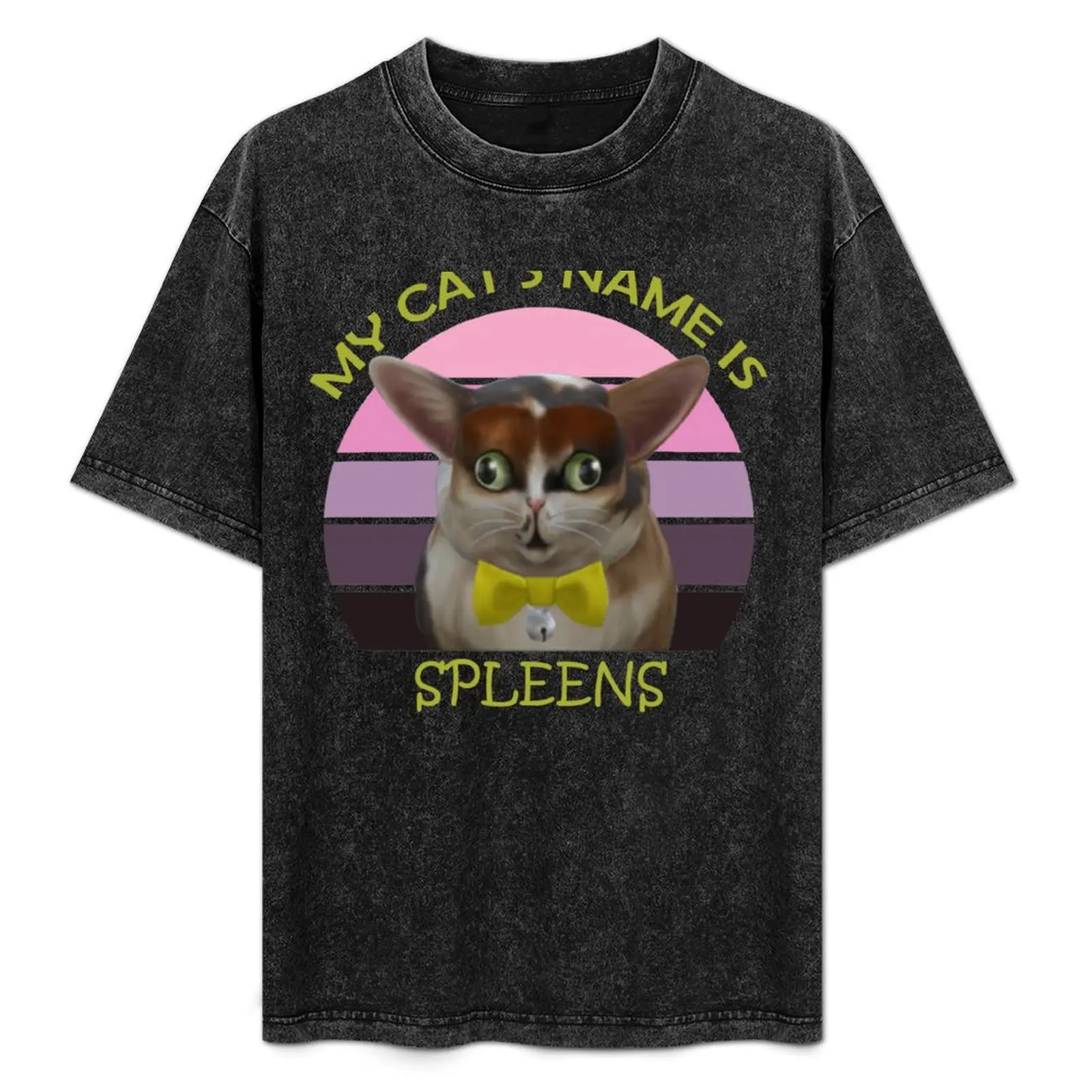 My cat's name is spleens T-Shirt Work Casual Loose Fit T-Shirt
My cat's name is spleens T-Shirt Work Casual Loose Fit T-Shirt