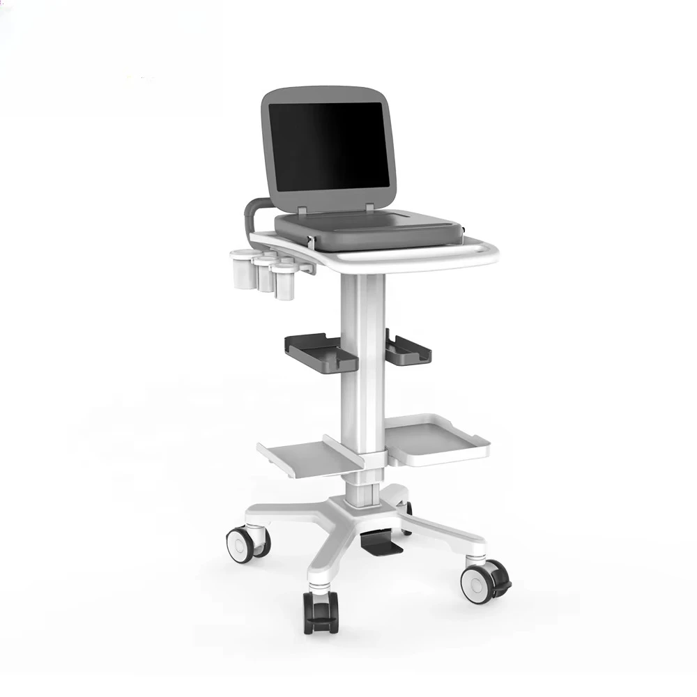 Industrial-Style 50kg Mobile Medical Equipment Multifunctional Ultrasound Cart with Durable Metal Construction for Hospitals
Industrial-Style 50kg Mobile Medical Equipment Multifunctional Ultrasound Cart with Durable Metal Construction for Hospitals